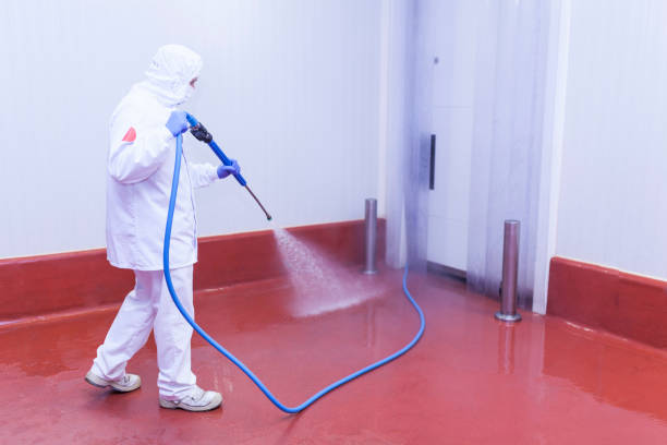 Trusted Plymouth, MN Pressure Washing Services Experts